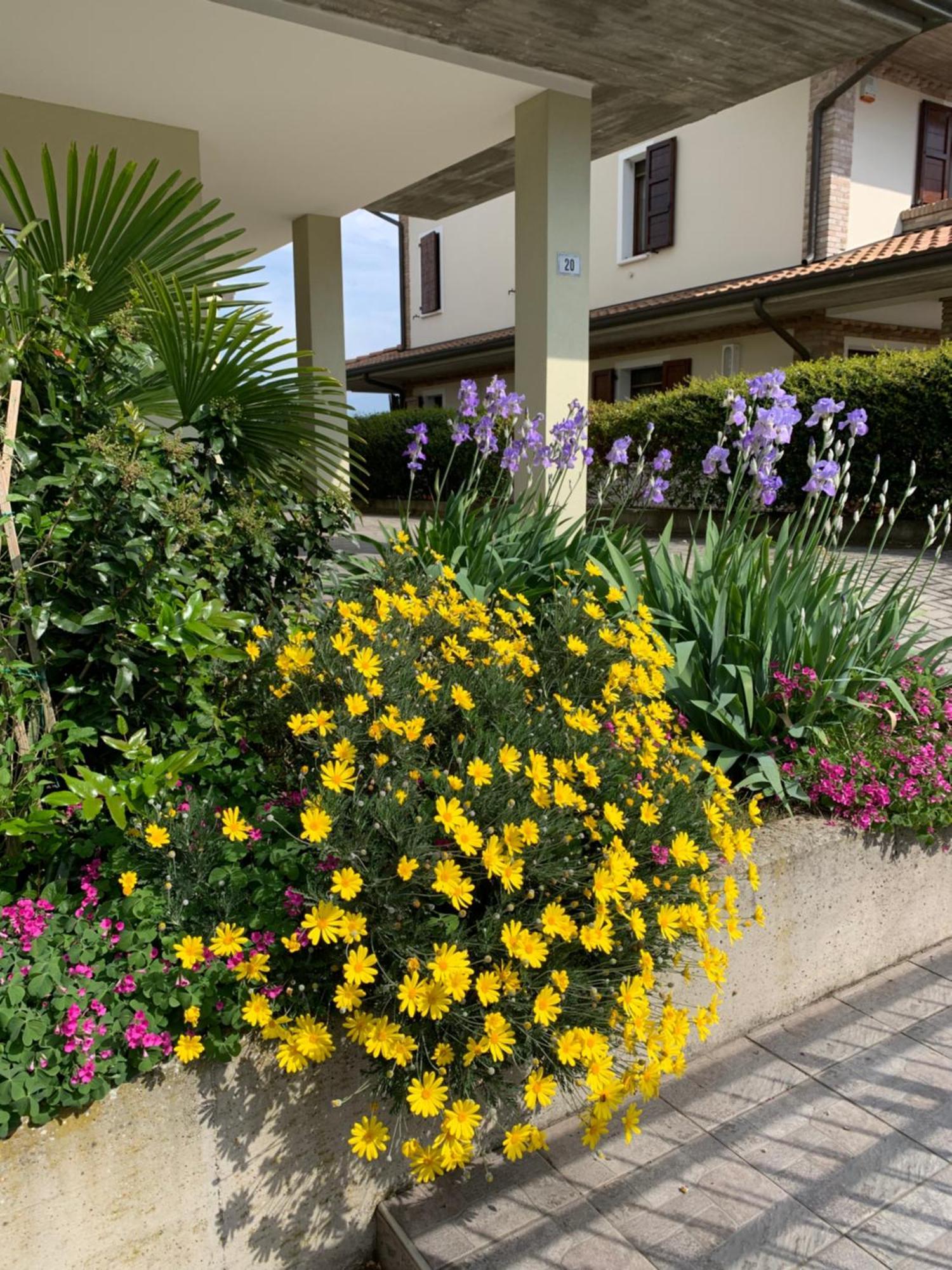 B&B La Salina Cannuzzo Buitenkant foto